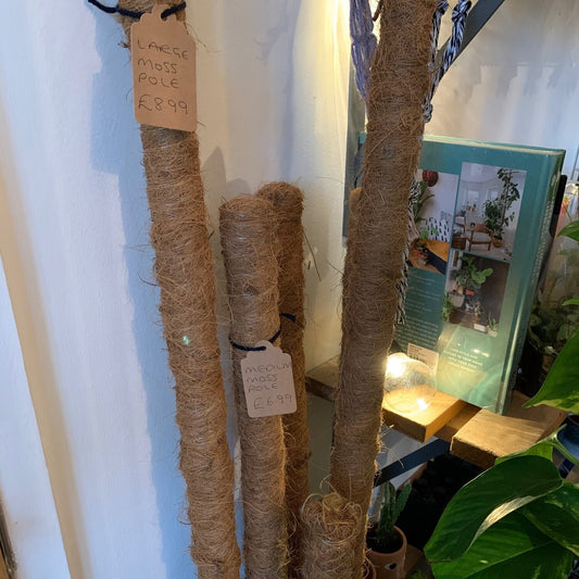 Moss Pole 70cm/120cm/150cm