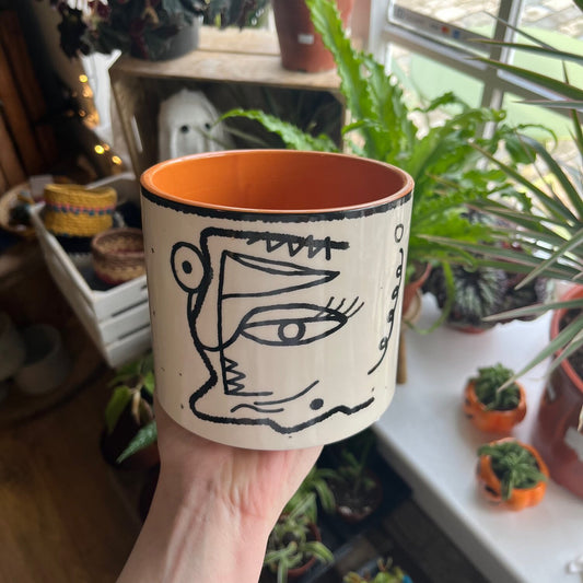 houseplant ceramic pot